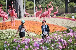 BIB: 
                            <button type="button" onclick="openModal(27794471)" class="btn btn-primary btn-sm float-right btn-popup" data-toggle="modal" data-target=".modal-high-quality">
                        <i class="fas fa-shopping-cart"></i> Add to Cart
                    </button>
                                            <button type="button" onclick="isThisMe(27794471, true)" class="btn btn-success btn-sm float-right btn-popup btn-isme hidden" data-toggle="tooltip" data-placement="bottom" title="นี่คือรูปของคุณใช่ไหม คลิกที่นี่เพื่อเอาเข้าอัลบั้ม">
                        <i class="fas fa-plus"></i> Add to album
                    </button>
                    <button type="button" onclick="isThisMe(27794471, false)" class="btn btn-warning btn-sm float-right btn-popup btn-isnotme hidden">
                        <i class="fas fa-ban"></i> Remove from album
                    </button>